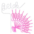 Bride & Squad Reusable Straws – Set of 12